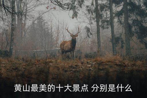 黃山最美的十大景點 分別是什么
