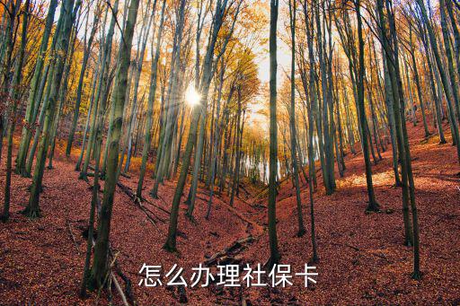 怎么辦理社?？?，社?？ㄔ趺崔k理