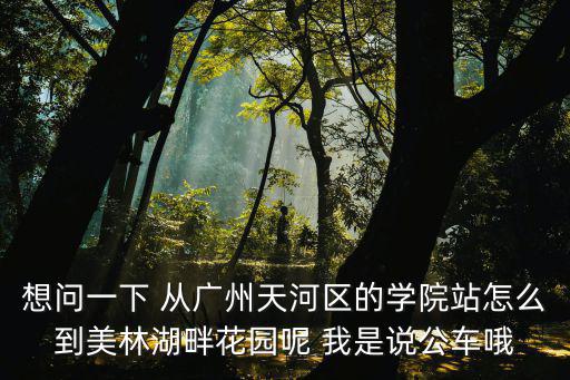 想問一下 從廣州天河區的學院站怎么到美林湖畔花園呢 我是說公車哦