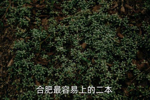 合肥最容易上的二本