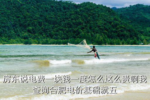 房東說電費一塊錢一度怎么這么貴啊我查詢合肥電價基礎就五