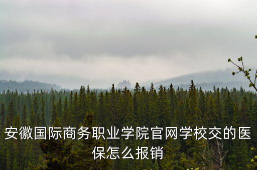 安徽國際商務(wù)職業(yè)學(xué)院官網(wǎng)學(xué)校交的醫(yī)保怎么報(bào)銷