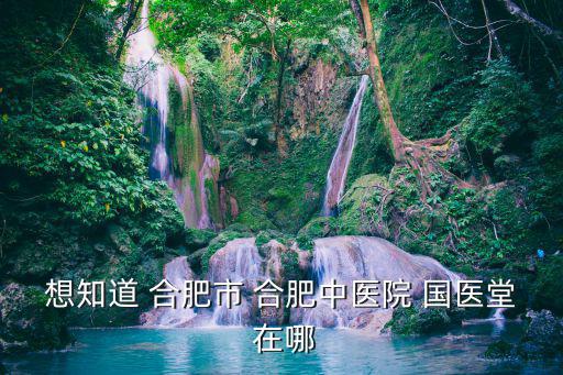 合肥國醫(yī)堂，想知道 合肥市 合肥中醫(yī)院 國醫(yī)堂 在哪