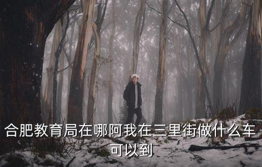 合肥教育局，合肥教育局在哪阿我在三里街做什么車可以到