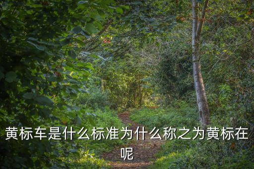 黃標車是什么標準為什么稱之為黃標在呢