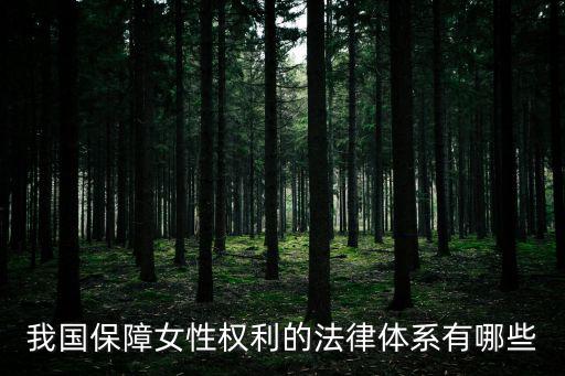 婦女權(quán)益保護(hù)法，我國(guó)保障女性權(quán)利的法律體系有哪些