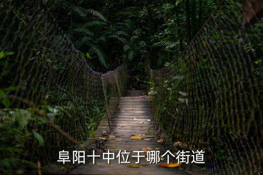 阜陽十中位于哪個(gè)街道