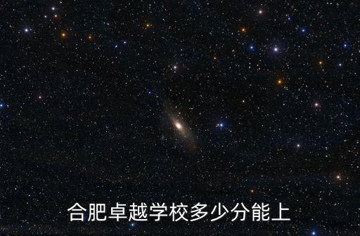 合肥卓越學校多少分能上