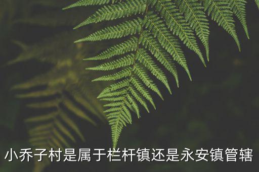 小喬子村是屬于欄桿鎮還是永安鎮管轄