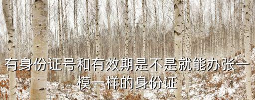 有身份證號和有效期是不是就能辦張一模一樣的身份證