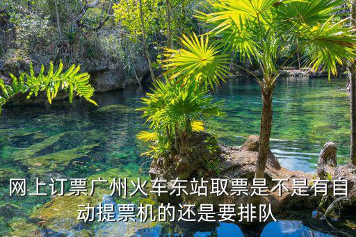 網(wǎng)上訂票廣州火車東站取票是不是有自動(dòng)提票機(jī)的還是要排隊(duì)