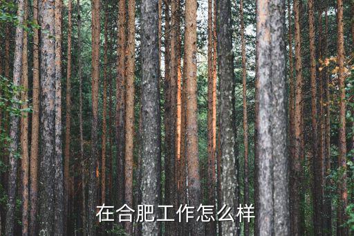 在合肥工作怎么樣