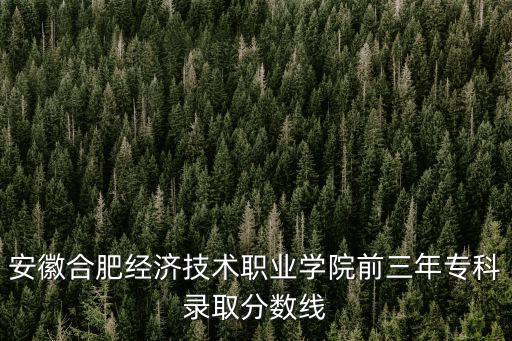 合肥經(jīng)濟(jì)職業(yè)學(xué)院，安徽合肥經(jīng)濟(jì)技術(shù)職業(yè)學(xué)院前三年專(zhuān)科錄取分?jǐn)?shù)線