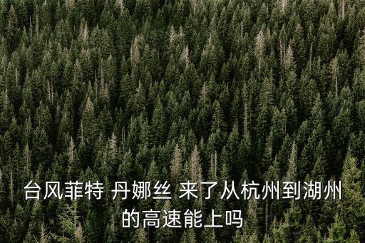 臺風菲特 丹娜絲 來了從杭州到湖州的高速能上嗎