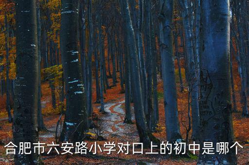 合肥市六安路小學對口上的初中是哪個