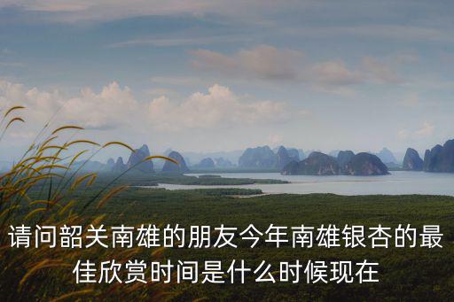 請問韶關南雄的朋友今年南雄銀杏的最佳欣賞時間是什么時候現在