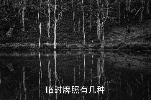 臨時號牌，關于臨時號牌