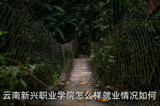 云南新興職業學院，云南新興職業學院怎么樣就業情況如何