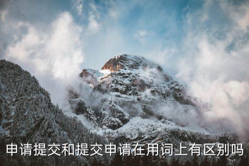 申請提交和提交申請在用詞上有區別嗎