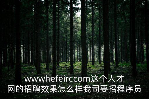 wwwhefeirccom這個人才網的招聘效果怎么樣我司要招程序員