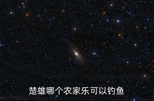 楚雄哪個(gè)農(nóng)家樂可以釣魚