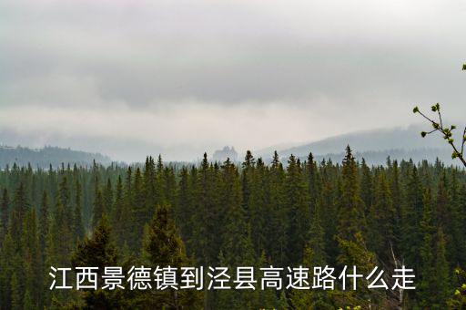 江西景德鎮(zhèn)到涇縣高速路什么走
