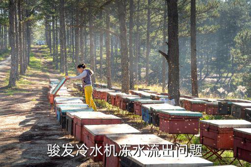 駿發冷水機凍水流出問題