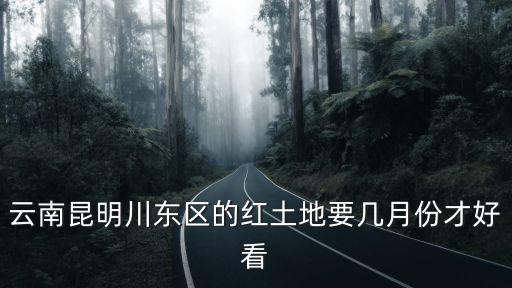 云南昆明川東區的紅土地要幾月份才好看