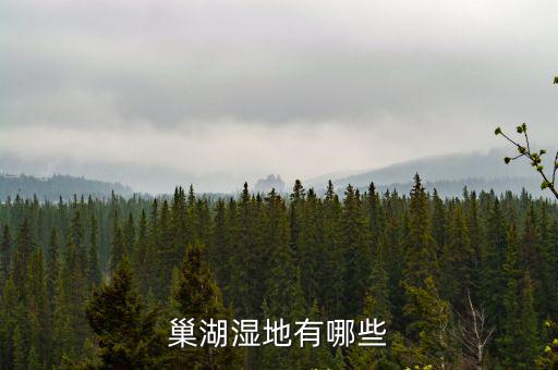 巢湖濕地，市二中到巢湖濕地距離