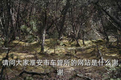 請問大家淮安市車管所的網站是什么謝謝