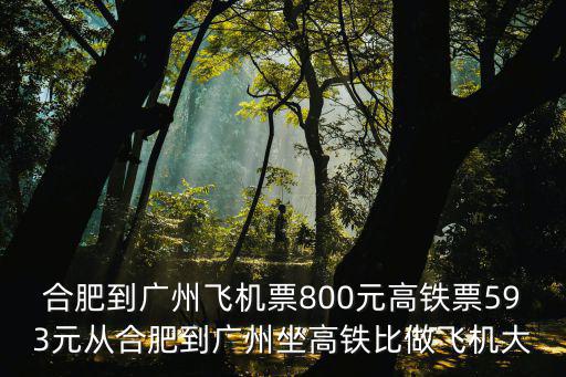 合肥到廣州飛機票800元高鐵票593元從合肥到廣州坐高鐵比做飛機大