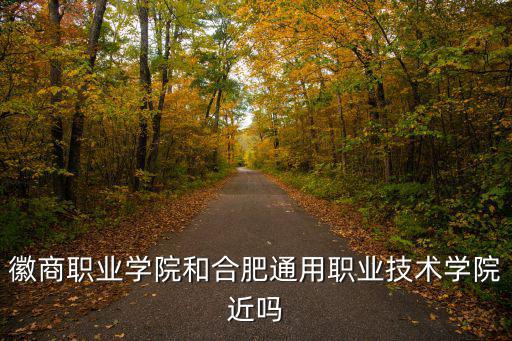 徽商職業學院和合肥通用職業技術學院近嗎