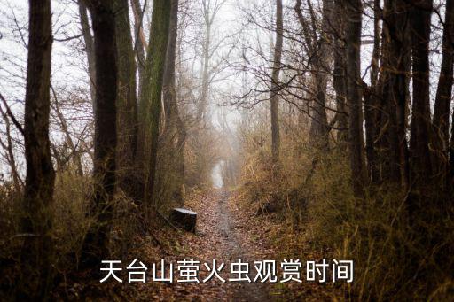 天臺山螢火蟲觀賞時間