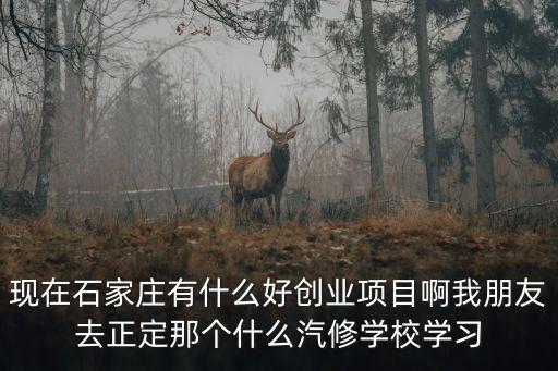 石家莊創業群，現在石家莊有什么好創業項目啊我朋友去正定那個什么汽修學校學習