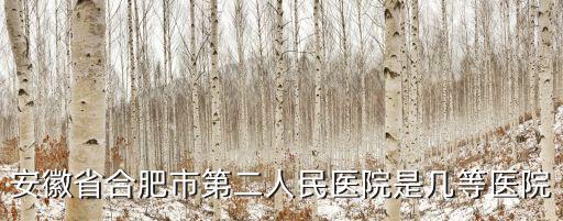 安徽省合肥市第二人民醫院是幾等醫院