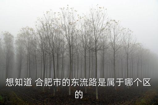 想知道 合肥市的東流路是屬于哪個(gè)區(qū)的