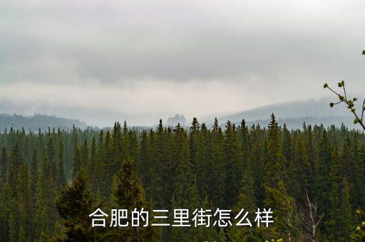 三里街，經(jīng)過(guò)合肥三里街有哪些公交車