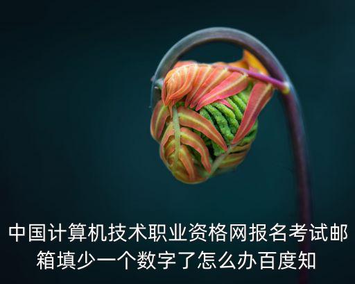 中國計算機技術職業資格網報名考試郵箱填少一個數字了怎么辦百度知