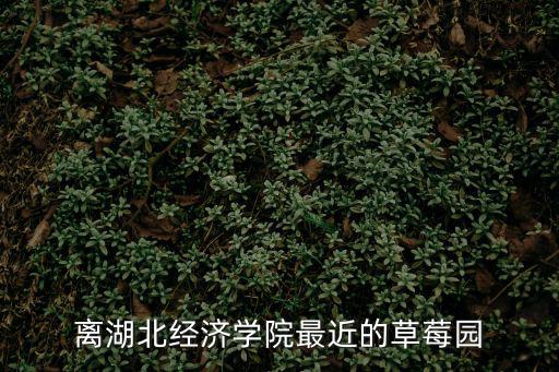 離湖北經濟學院最近的草莓園