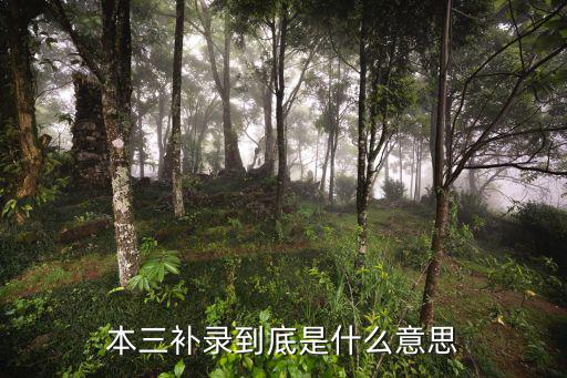 本三補錄到底是什么意思