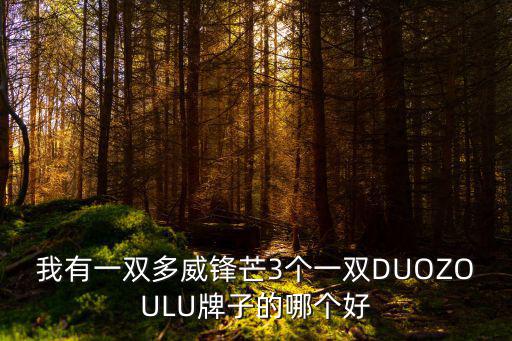 我有一雙多威鋒芒3個一雙DUOZOULU牌子的哪個好