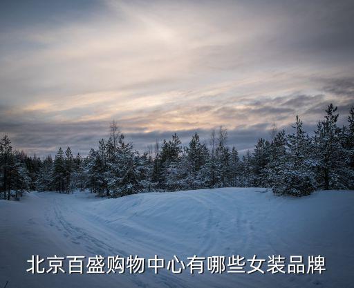 百盛購物中心，百盛購物中心用英語怎么翻譯