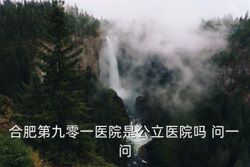 合肥第九零一醫(yī)院是公立醫(yī)院嗎 問一問