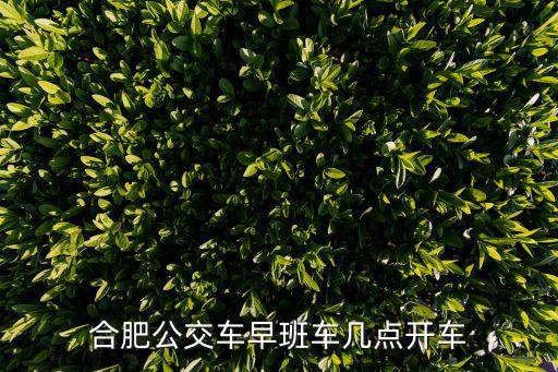 合肥公交車(chē)早班車(chē)幾點(diǎn)開(kāi)車(chē)