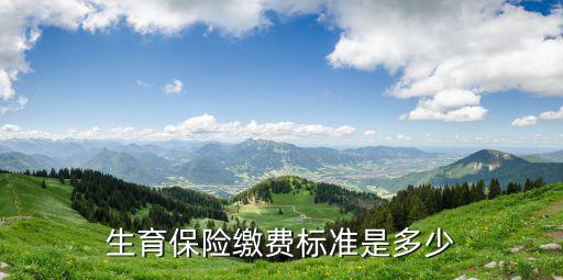 生育保險(xiǎn)費(fèi)，生育保險(xiǎn)繳費(fèi)標(biāo)準(zhǔn)是多少