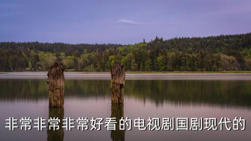 最新國劇，非常非常非常好看的電視劇國劇現代的