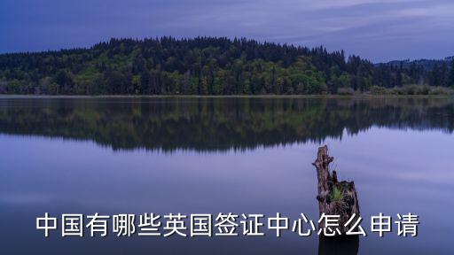 濟南簽證中心，濟南加拿大簽證中心在濟南什么地方