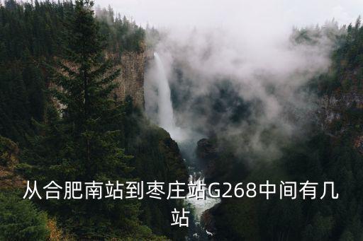 從合肥南站到棗莊站G268中間有幾站