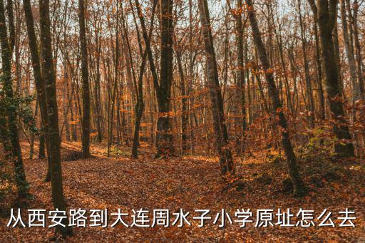 西安路小學，成都青羊區西安路小學是公辦嗎