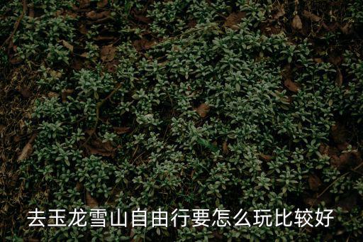 去玉龍雪山自由行要怎么玩比較好